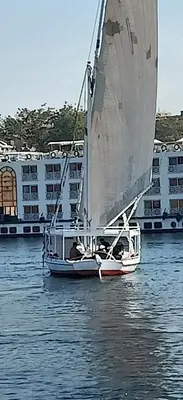 a sail boat in the water with buildings in the background at Nuba Tod Sailling boat in Aswan
