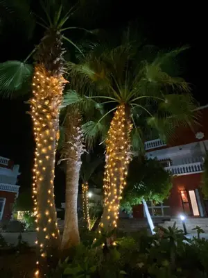 two palm trees are decorated with christmas lights at Hurghada-Magawish Studio 1 in Hurghada
