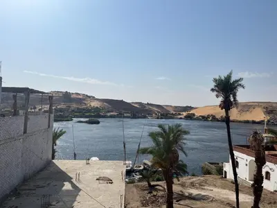 a view of a river with palm trees at sunset guest house in Aswan