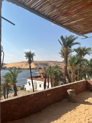 a view from the roof of a house with palm trees at sunset guest house in Aswan