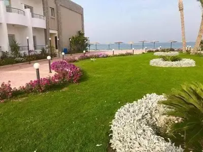 a lawn with white flowers and a building and the beach at Cecilia resort hurghadaمنتجع سيسيليا in Hurghada