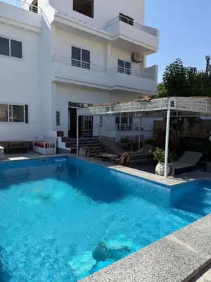a large swimming pool in front of a building at Sylvie guest house in Luxor