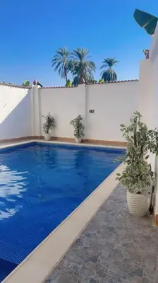a swimming pool with two potted plants next to a wall at El Hady villa with swimming pool in Luxor