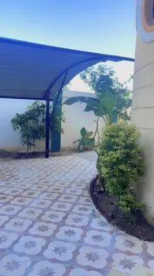 a building with a blue canopy and a plant at El Hady villa with swimming pool in Luxor