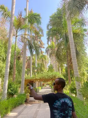 a man standing in a park with palm trees at Hannag Island Guest house in Aswan