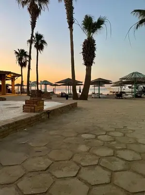 a group of palm trees and umbrellas on a beach at Mashrabiya hotel in Hurghada