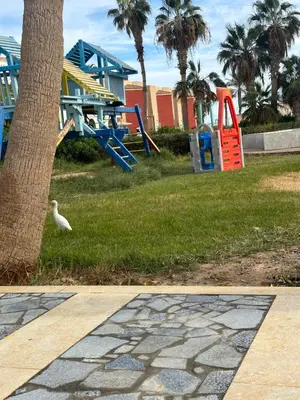 a white bird standing next to a playground at Mashrabiya hotel in Hurghada