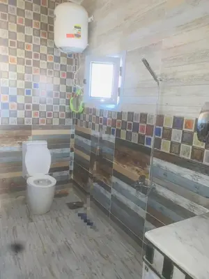 a bathroom with a toilet and a shower and a window at Nubian rise in Aswan