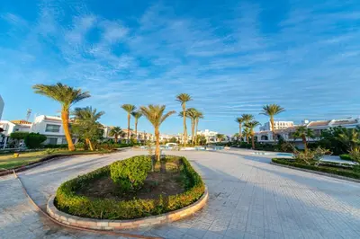 a street with palm trees and buildings in the distance at Hurghada Khaligeya village in Hurghada