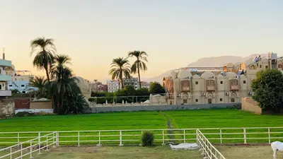 a building with palm trees and a green field at Menna guest house in Luxor