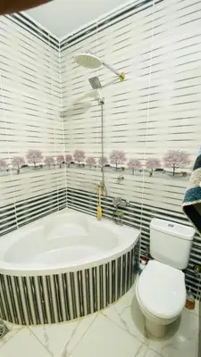 a bathroom with a bath tub and a toilet at Menna guest house in Luxor