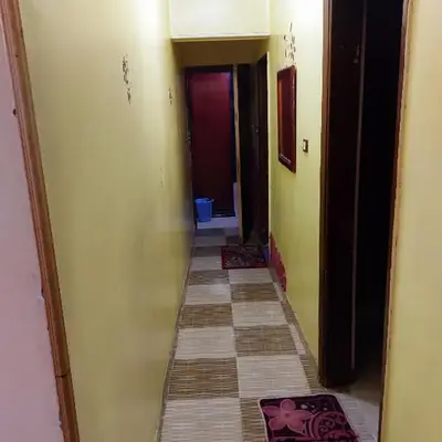 Mahmoud's House