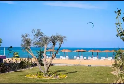 a beach with a tree and chairs and umbrellas at Beachfront Boho Style apartment in Fanadir Bay in Hurghada