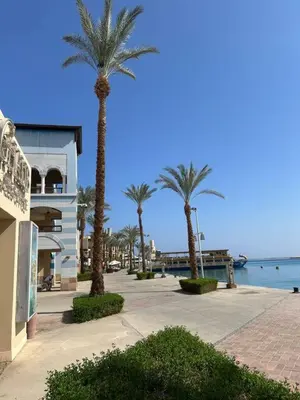 a street with palm trees next to the water at Marina Bliss-Seaside Retreat in Marsa Alam