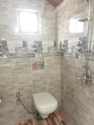 a bathroom with a toilet and a shower at Nubian dream house in Jazīrat Fīlah