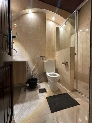 a bathroom with a toilet and a shower at Nubian Soul Guest Houses in Aswan