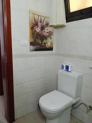 a bathroom with a toilet and a painting on the wall at The View in Hurghada