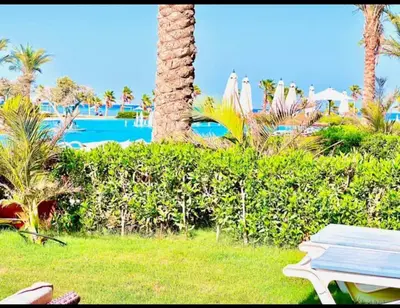 a blue bench next to a palm tree and a pool at One bedroom in gouna in Hurghada