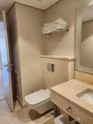 a bathroom with a toilet and a sink at Elgouna - Mangroovy 2BR - Pool & Sea view in Hurghada