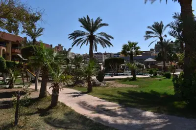 a group of palm trees in a park at New Geisum Resort in Hurghada