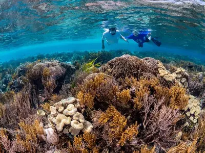 two people swimming over a coral reef at New Geisum Resort in Hurghada