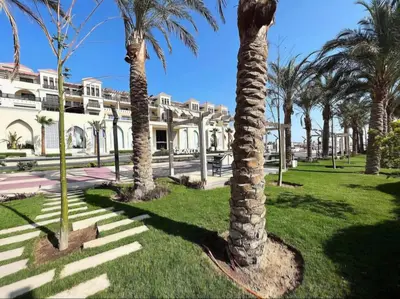 a palm tree in front of a building at Cozy studio near by the beach - Intercontinental in Hurghada