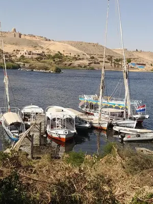a group of boats are docked in the water at waleed home in Jazīrat Aswān