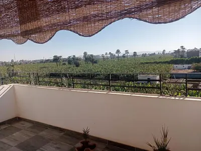 a balcony with a view of a field at Banana Guest House in Luxor