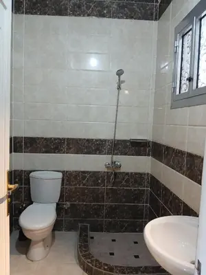a bathroom with a toilet and a sink at Nile Rose Hause in Al Karnak