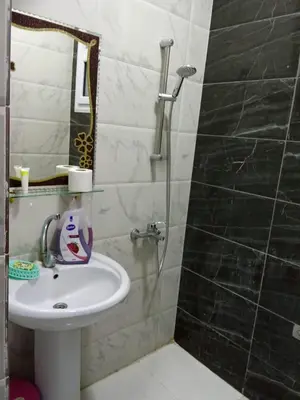 a bathroom with a sink and a shower at فندق تيم وتميم in Luxor