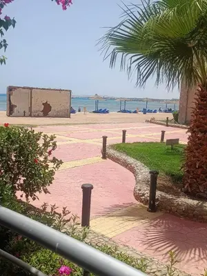 a walkway next to a beach with a palm tree at Elite apartment private beach Holiday Chalet Free WIFI in Hurghada