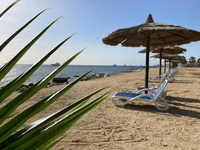 a row of beach chairs and an umbrella on the beach at Studio for rent in the view 114 in Hurghada