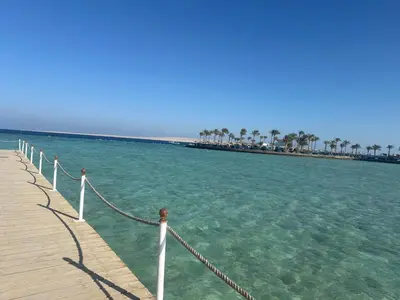 a pier with a view of the ocean and palm trees at Scandic Resort Hurghada in Hurghada