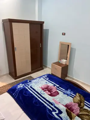 a bedroom with a bed with a dresser and a mirror at Family House in Luxor