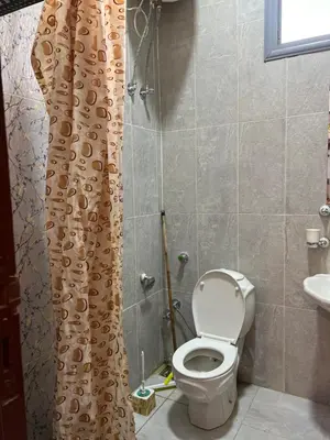 a bathroom with a toilet and a shower curtain at Family House in Luxor
