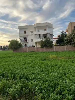 a white building on top of a green field at Family House in Luxor