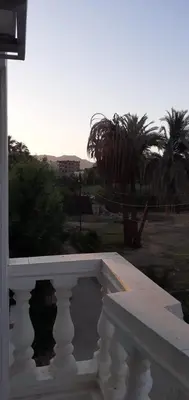 a white railing on a house with palm trees at منزل عبد الرحيم العمدة in Luxor