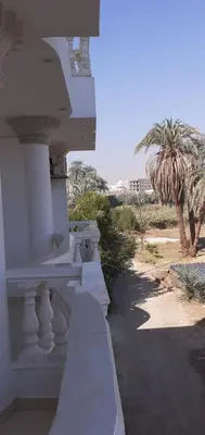 a white building with a palm tree in the background at منزل عبد الرحيم العمدة in Luxor