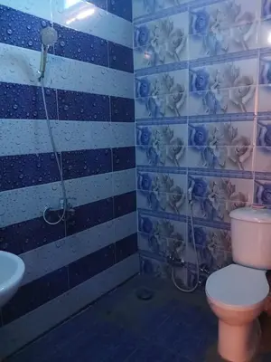 a bathroom with a toilet and a sink at Mashamman nuban house in Aswan