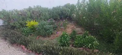 an overhead view of a garden with flowers and plants at Kemet Guest House in Aswan