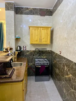 a kitchen with a stove and a sink at King TuT house in Luxor