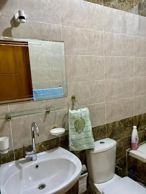 a bathroom with a toilet and a sink and a mirror at King TuT house in Luxor