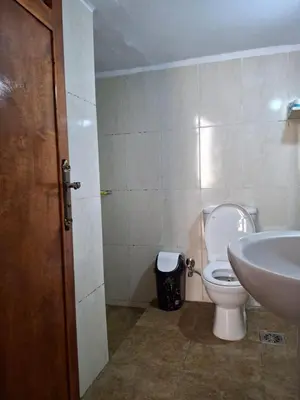 a bathroom with a white toilet and a sink at Ezba Guest House in Luxor