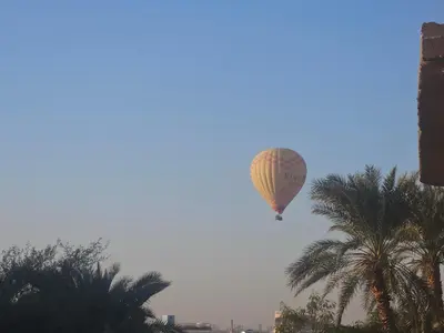 a hot air balloon flying over a palm tree at Habiba Apartment in Luxor
