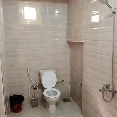 a bathroom with a toilet and a shower at Nile palace in Jazīrat Aswān