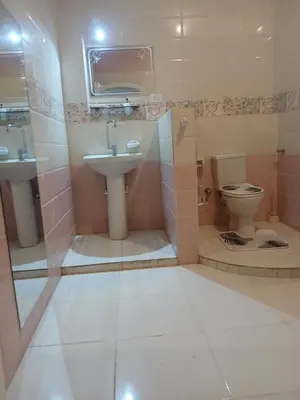 a bathroom with a sink and a toilet at Nopian 1 in Luxor