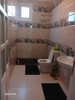 a bathroom with a toilet and a sink at Valencia Villa & Rooms in Luxor