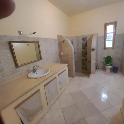 a bathroom with a sink and a shower at El Fayrouz Villa in Luxor