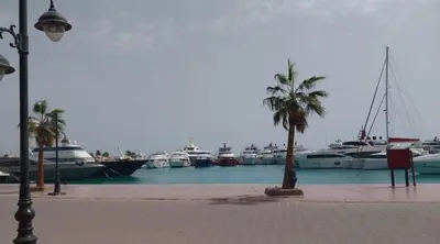 a group of boats docked in a harbor with palm trees at شقه سوبر لوكس in Hurghada