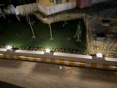 an overhead view of a group of birds on the grass at Cozy Studio 1st Avenue South Side in Hurghada